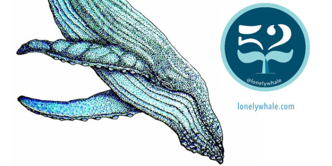 The Lonely Whale : Stoney Clover Lane