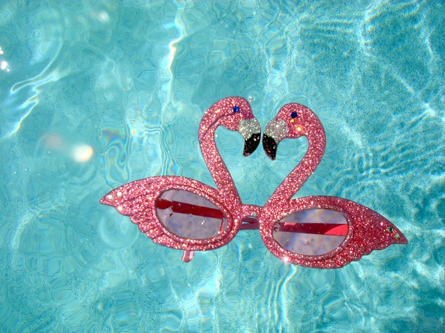 Style Obsession : Flamingos
